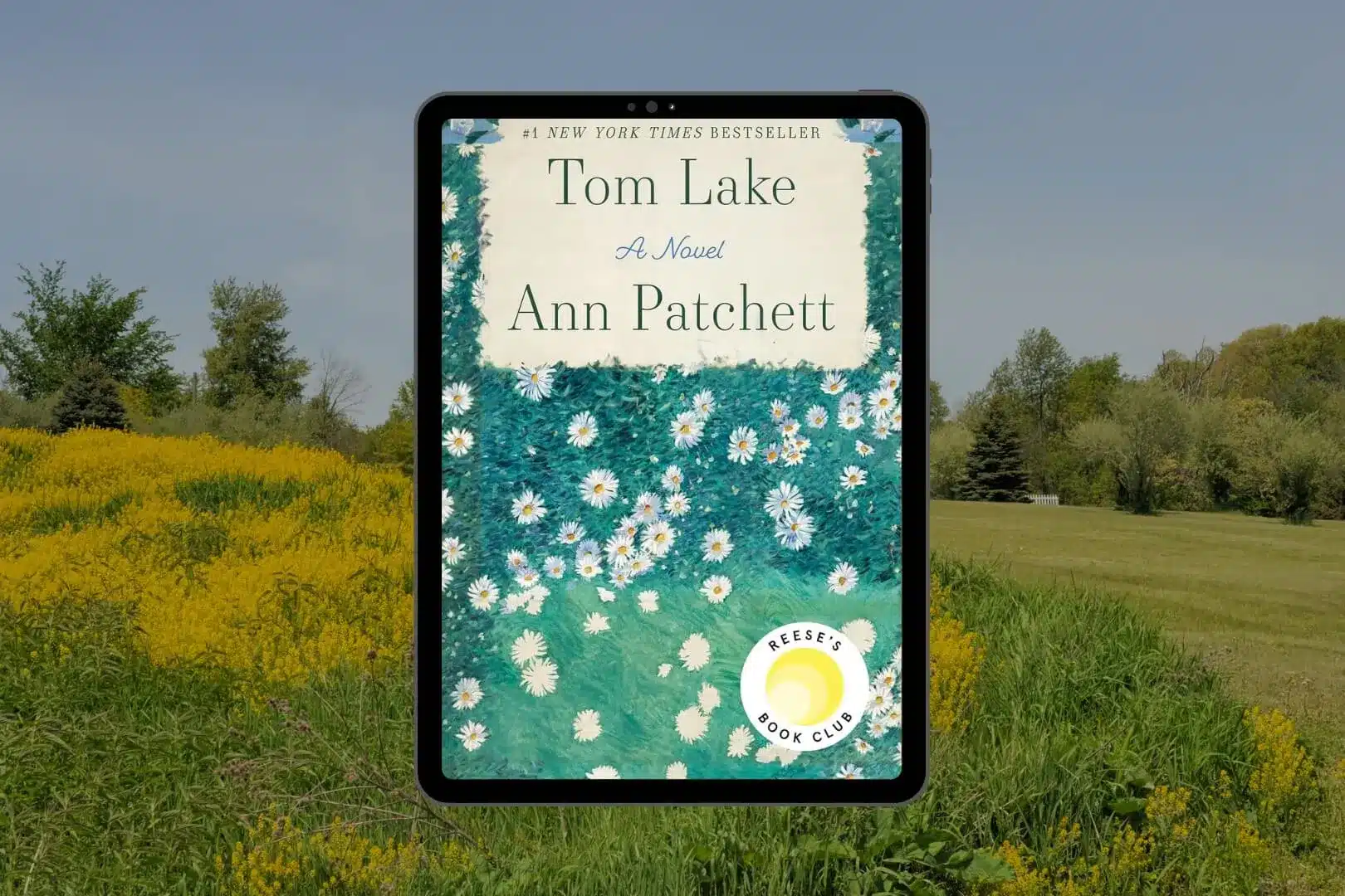 best the house across the lake discussion questions