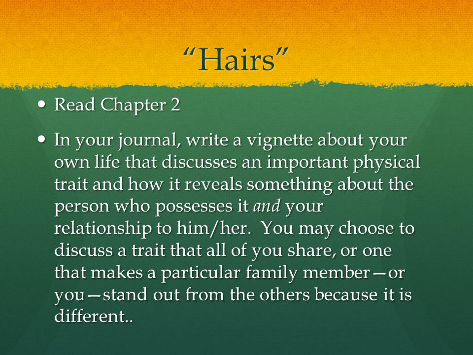 best the house on mango street chapter questions