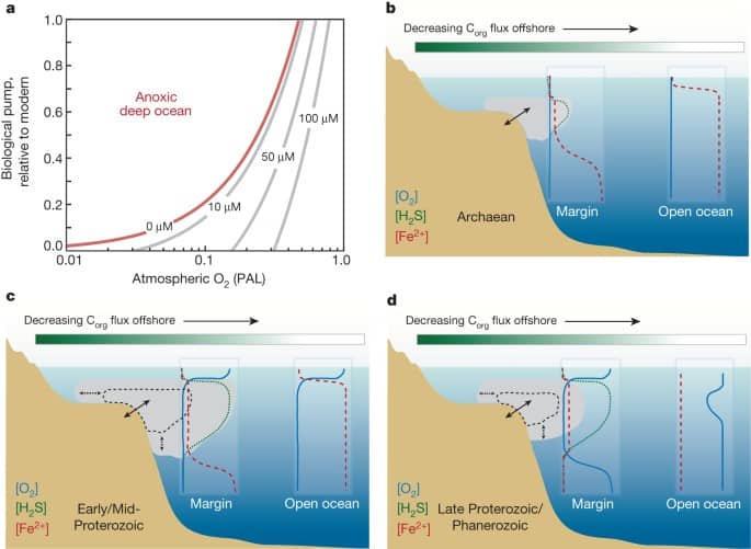 best the rise of oxygen in the earthcabcs atmosphere questions answer key