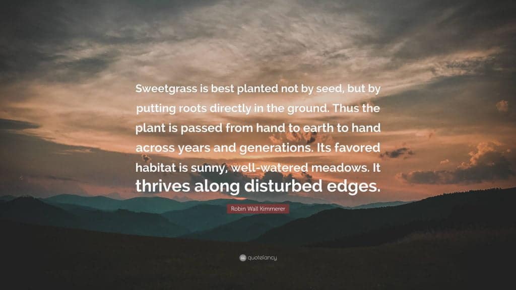 best the seed keeper quotes scaled