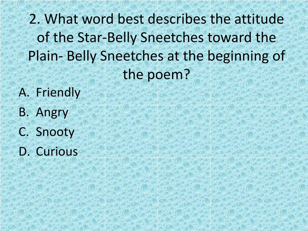 best the sneetches questions and answers