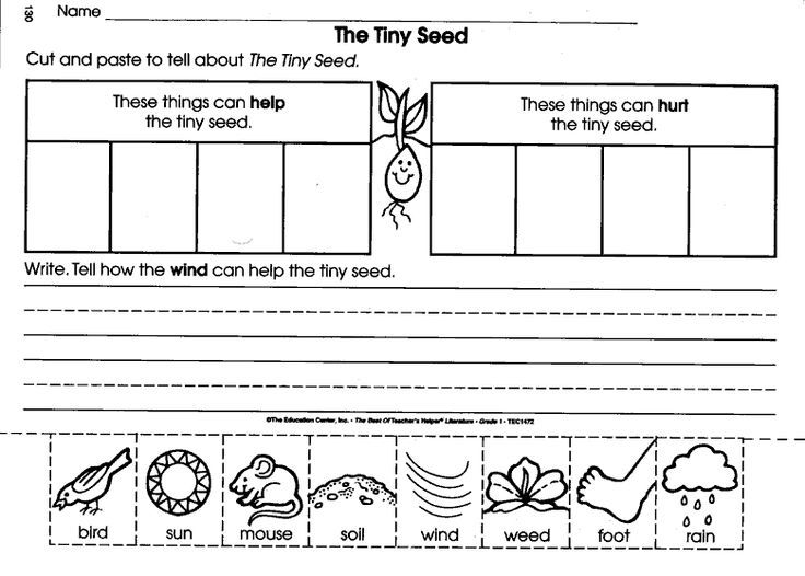 best the tiny seed comprehension questions