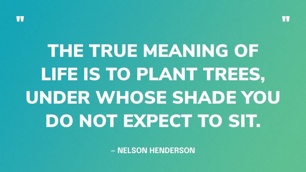 best the tree of life quotes