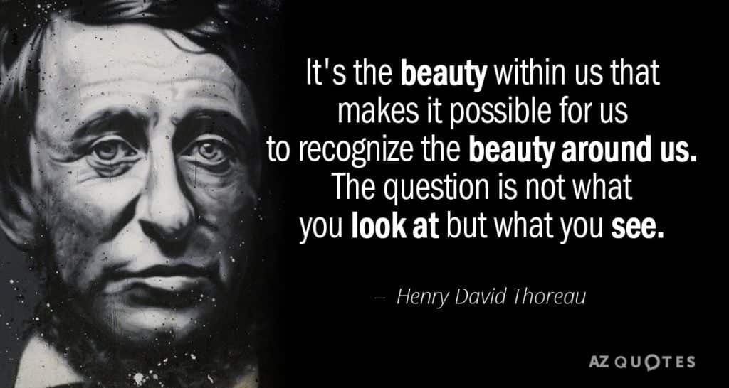 best theroux quotes