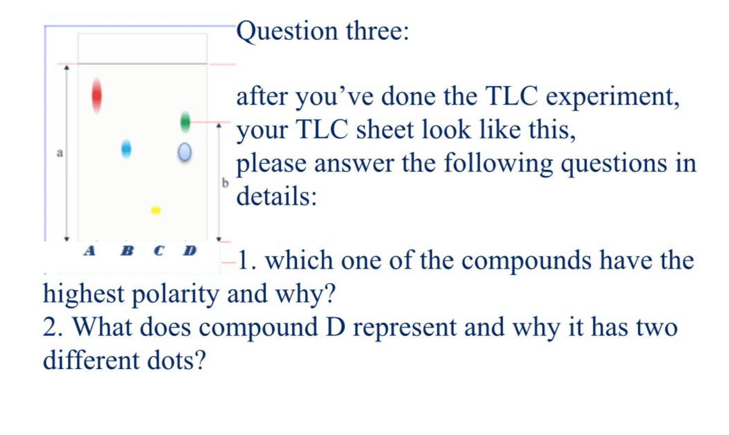 best tlc exam questions and answers