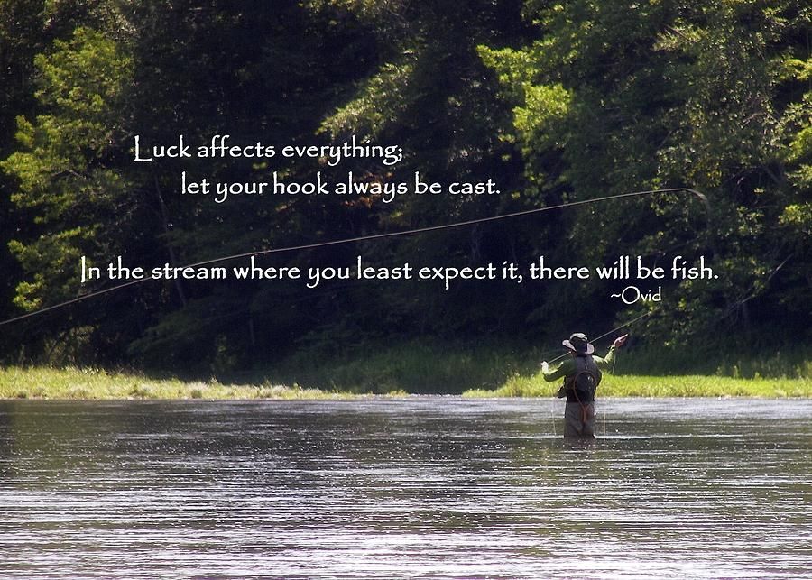 best trout fishing in america quotes