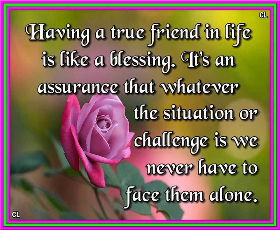 best true friends are a blessing quotes