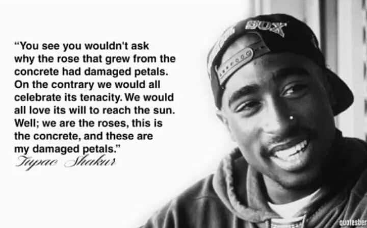 best tupac shakur quotes rose that grew from concrete