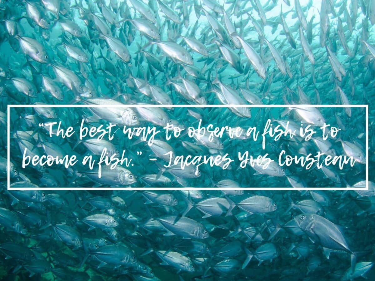 best underwater quotes