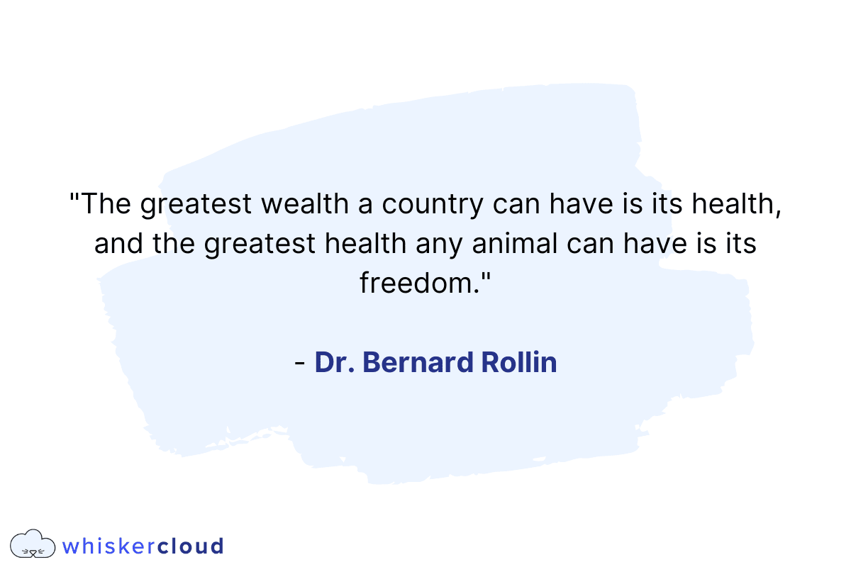 best vet quotes