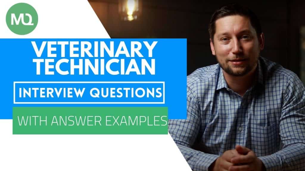 best vet tech questions for clients