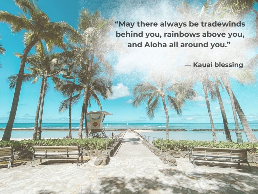 best waikiki quotes
