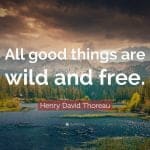best walden quotes nature scaled