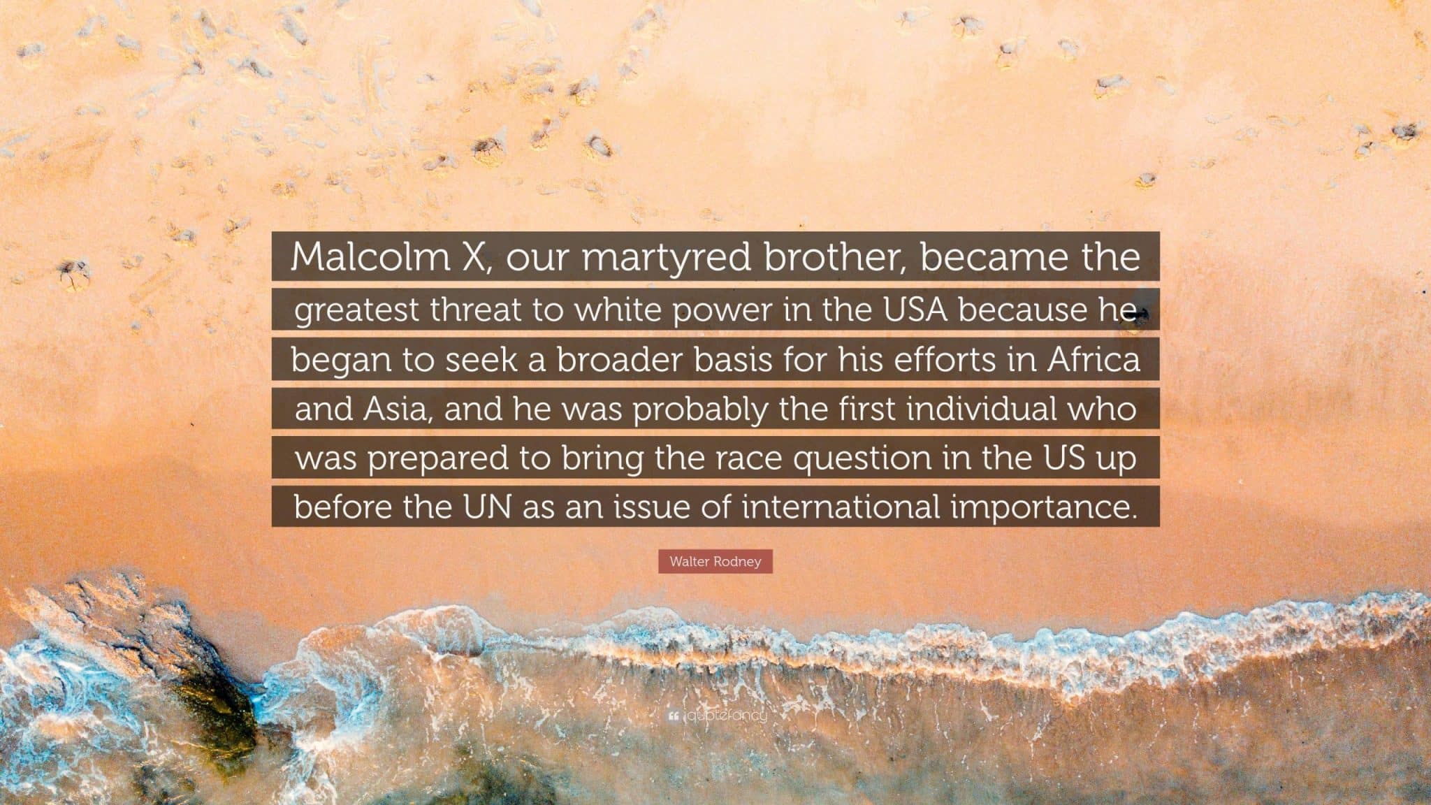 best walter rodney quotes scaled