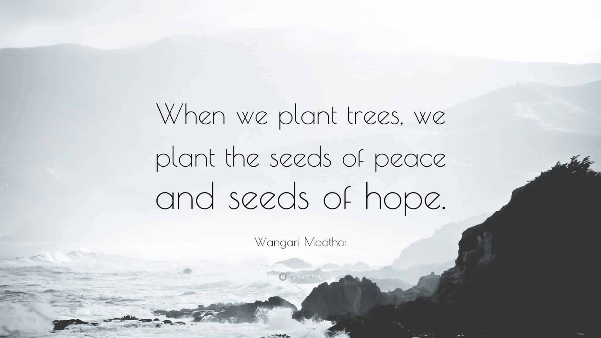 best wangari maathai quotes scaled