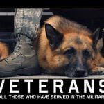 best war dogs quotes