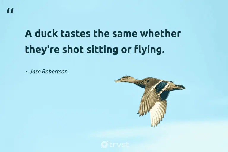 best waterfowl quotes
