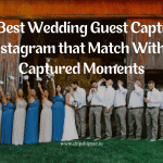 best wedding guest quotes