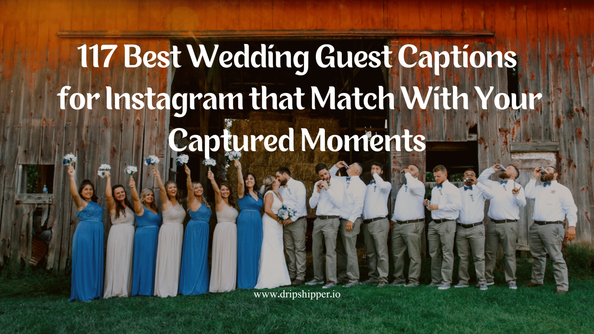 best wedding guest quotes