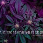 best weed quotes