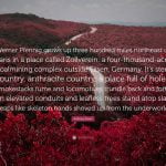 best werner pfennig quotes scaled