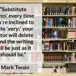 best which of these quotes explains hamids advice to novelists