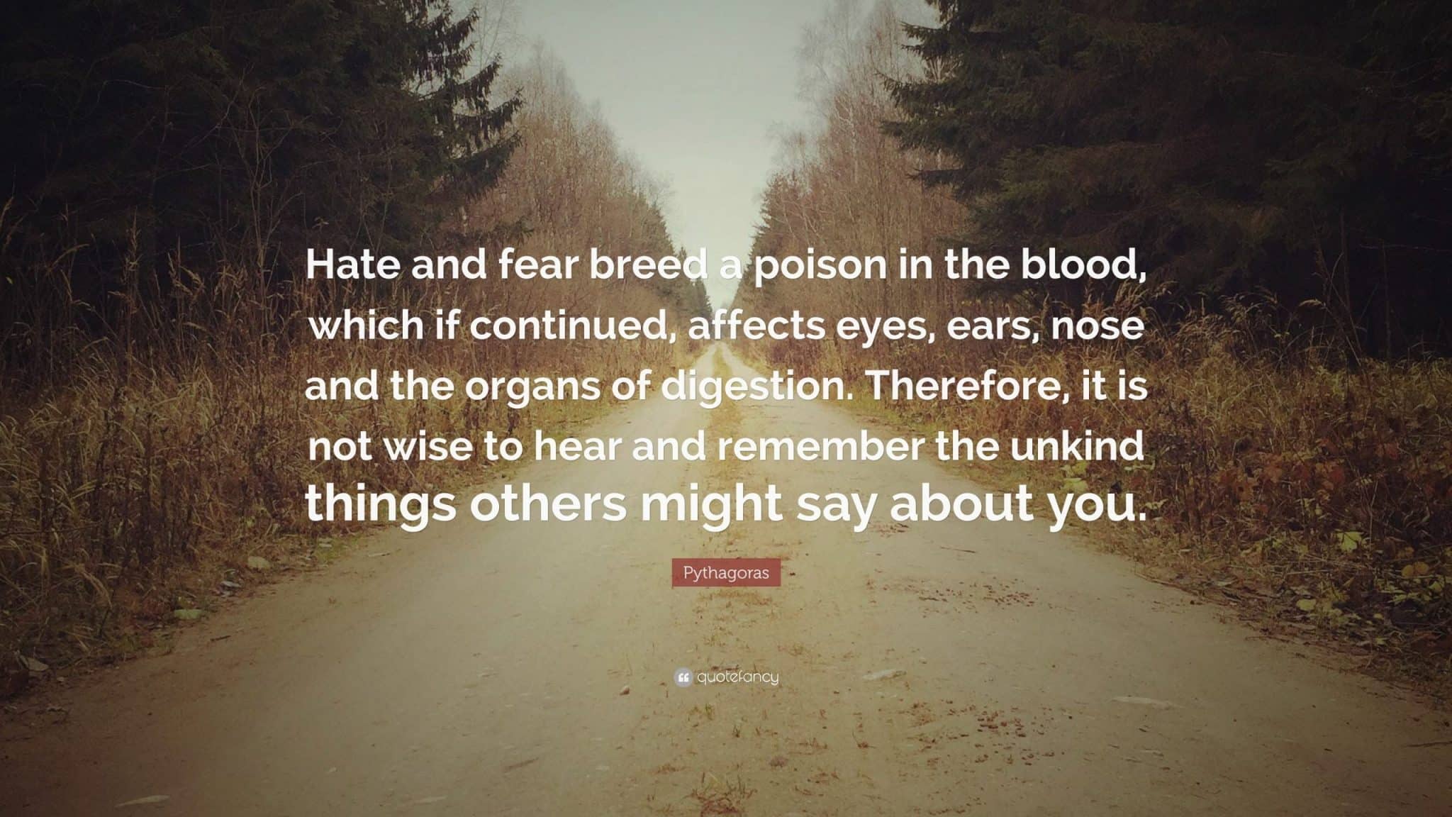 best wise blood quotes scaled
