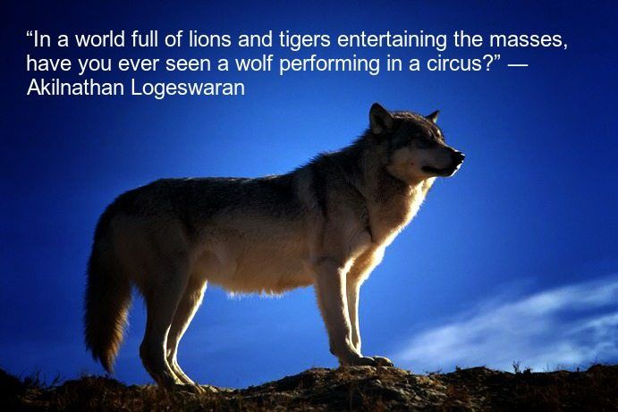 best wolf quotes
