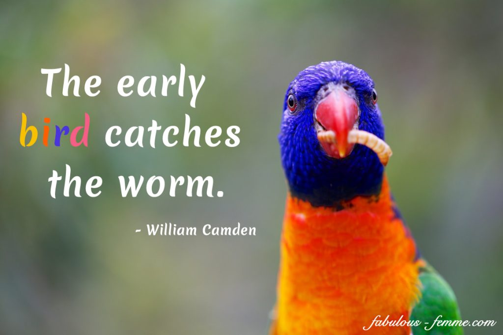 best worm quotes