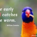 best worm quotes