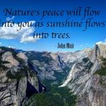 best yosemite national park quotes